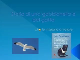 storia di una gabbianella e del gatto