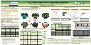 Soil Carbon Sequestration in Agroforestry Systems