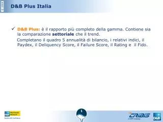 d b plus italia