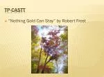 TP-CASTT - slide 1