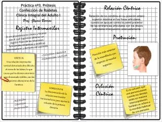 Práctica nº3. Prótesis Confección de Rodetes Clínica Integral del Adulto I
