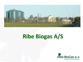 ribe biogas a s
