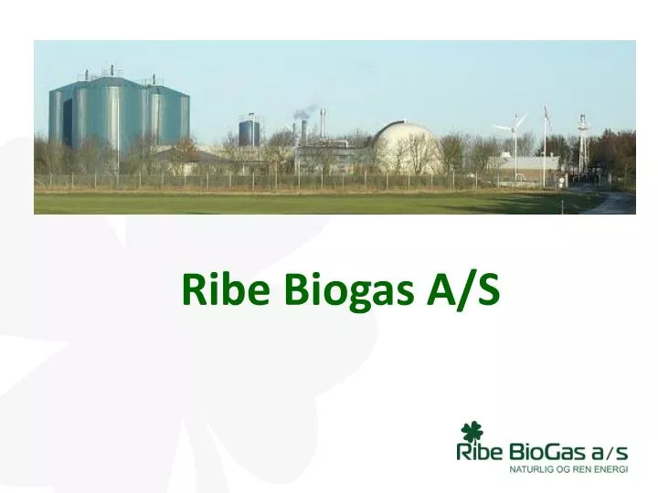 ribe biogas a s