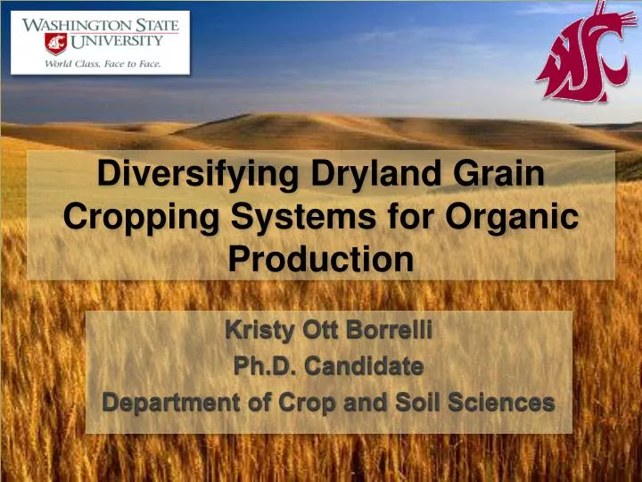 diversifying dryland grain cropping systems for organic production