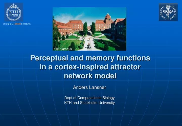 perceptual and memory functions in a cortex inspired attractor network model