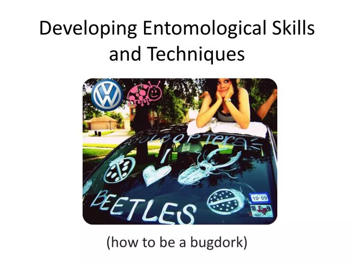developing entomological skills and techniques