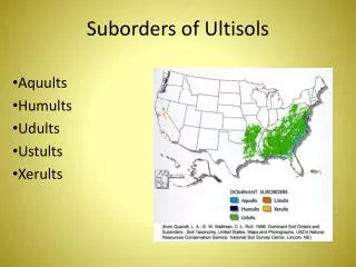 Suborders of Ultisols