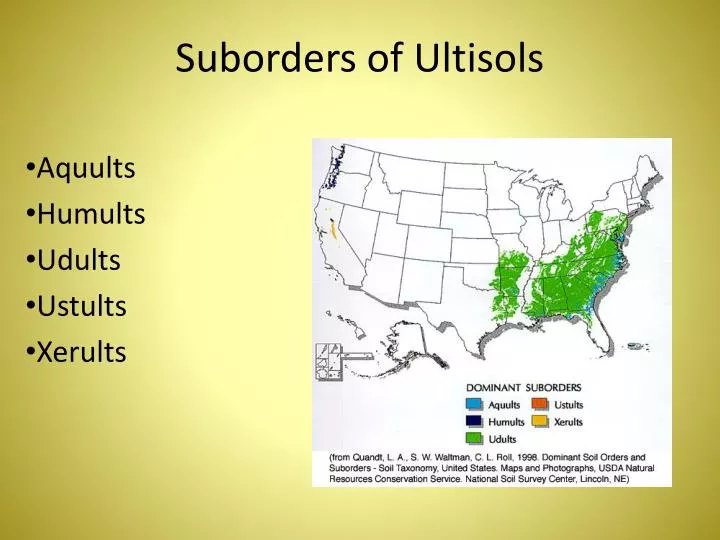 suborders of ultisols