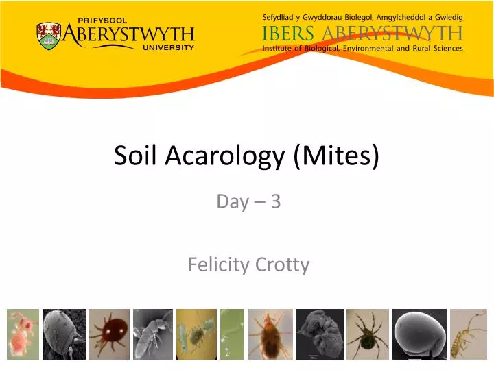 soil acarology mites
