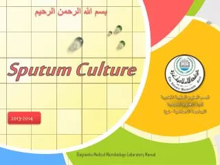 Sputum Culture