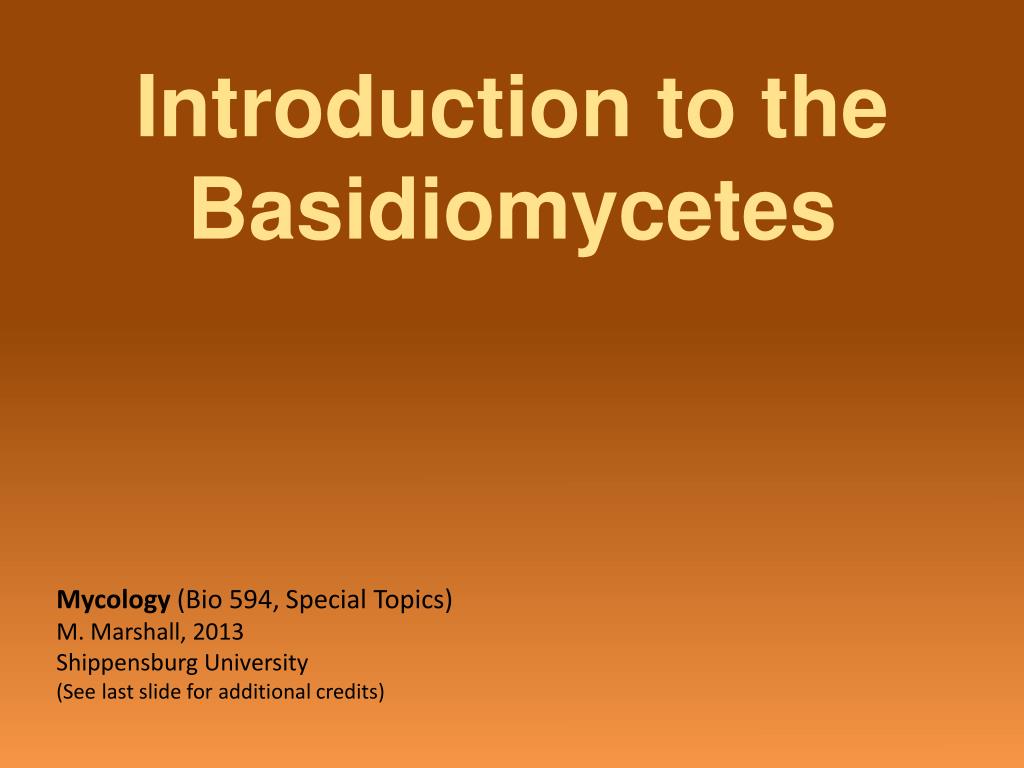 PPT - Introduction to the Basidiomycetes PowerPoint Presentation, free ...