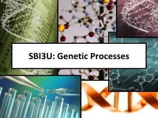 SBI3U: Genetic Processes