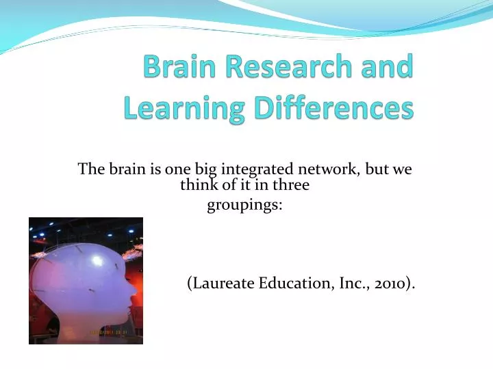brain research and learning differences