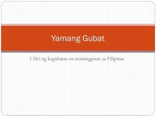 yamang gubat