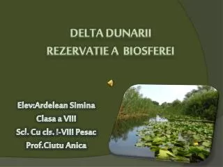 Delta Dunarii Rezervatie a biosferei