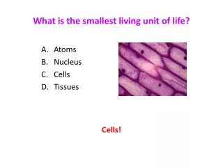 What is the smallest living unit of life?