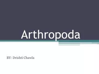 Arthropoda