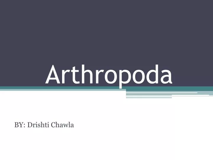 arthropoda