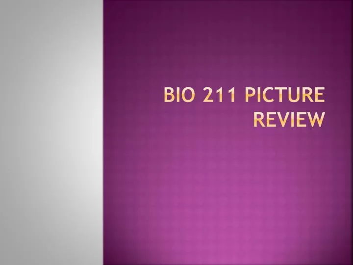 bio 211 picture review