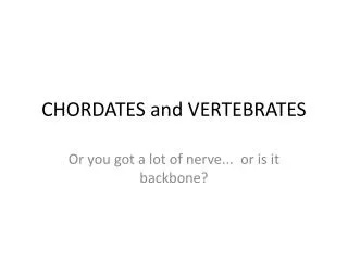 CHORDATES and VERTEBRATES