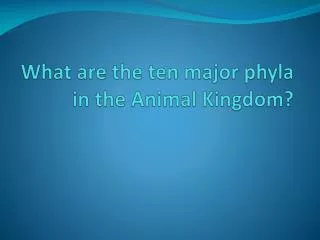 What are the ten major phyla in the Animal Kingdom?