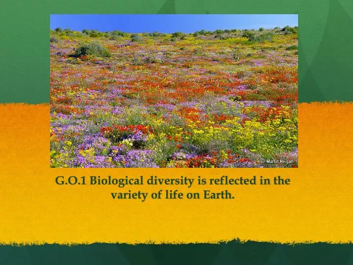 g o 1 biological diversity is reflected in the variety of life on earth
