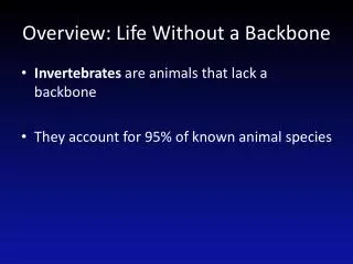 Overview: Life Without a Backbone