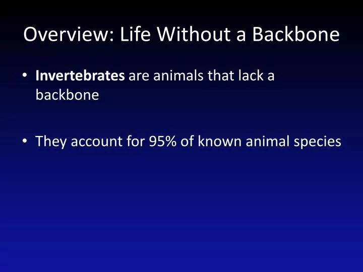 overview life without a backbone