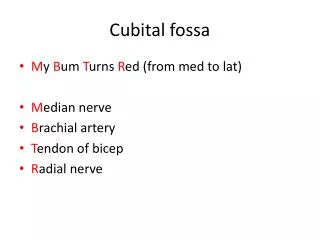 Cubital fossa