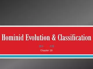 Hominid Evolution &amp; Classification