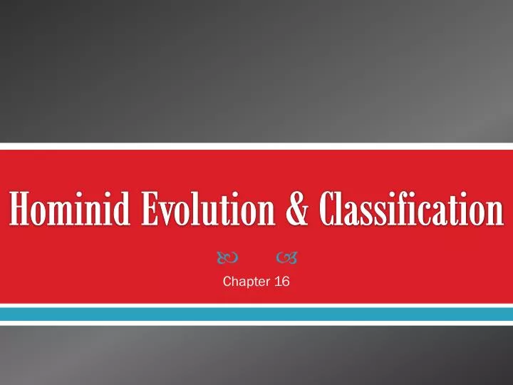 hominid evolution classification