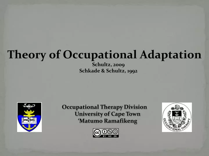theory of occupational adaptation schultz 2009 schkade schultz 1992
