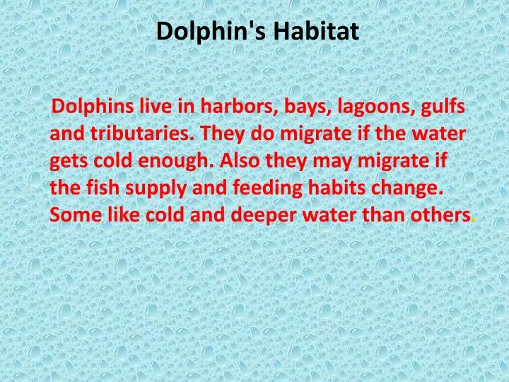 dolphin s habitat