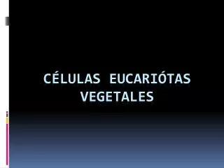 c lulas eucari tas vegetales