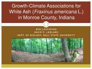 Growth-Climate Associations for White Ash ( Fraxinus americana L.) in Monroe County, Indiana
