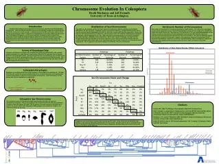 9 Autosomes