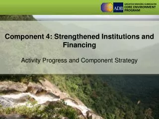 Component 4: Strengthened Institutions and Financing Activity Progress and Component Strategy