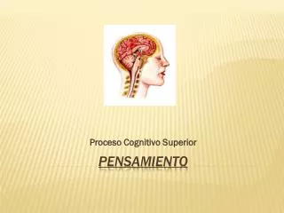 proceso cognitivo superior