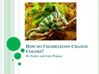 How do Chameleons Change C olors?