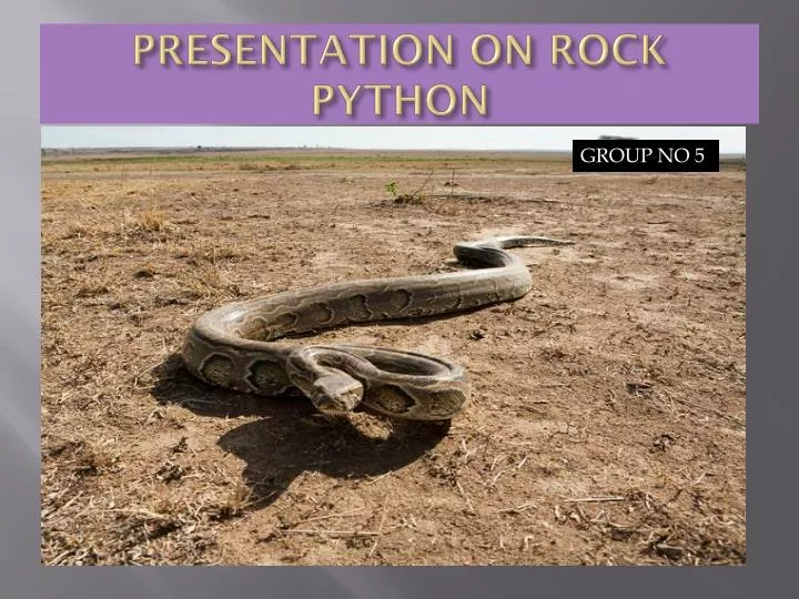 presentation on rock python