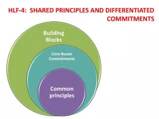 HLF-4: SHARED PRINCIPLES AND DIFFERENTIATED COMMITMENTS
