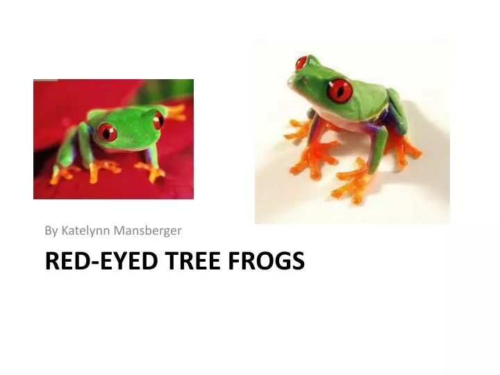 frogs on a red cells slide