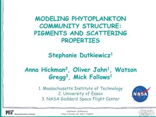 MODELING PHYTOPLANKTON COMMUNITY STRUCTURE: PIGMENTS AND SCATTERING PROPERTIES