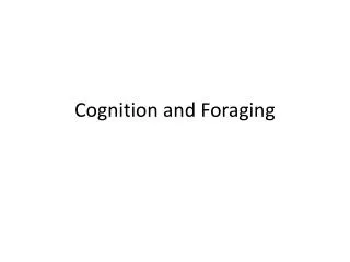 Cognition and Foraging