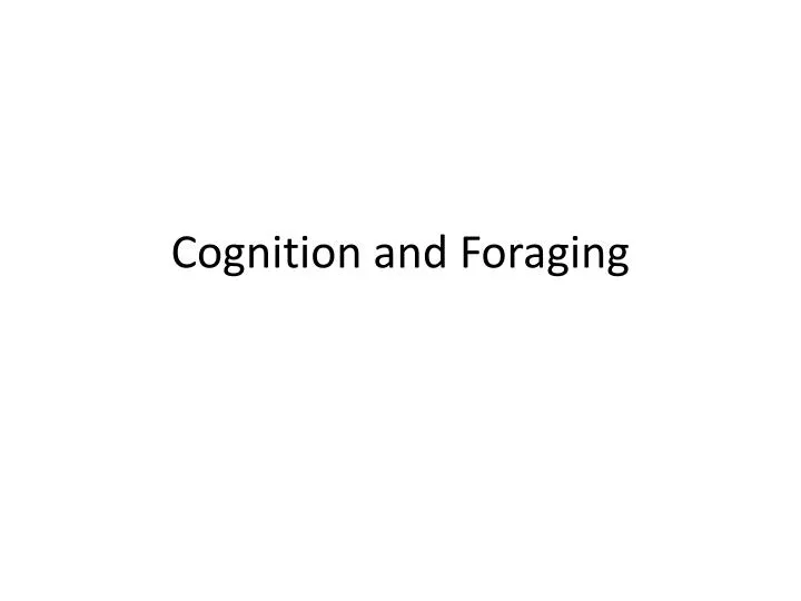 cognition and foraging