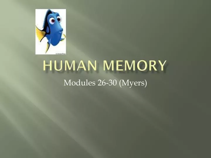 human memory