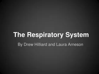 The Respiratory System