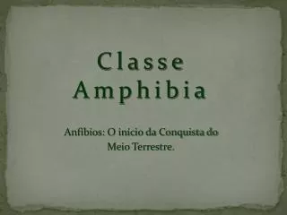 classe amphibia