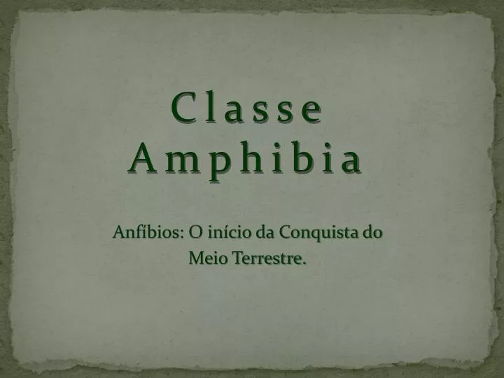 classe amphibia