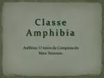 Classe Amphibia - slide 1